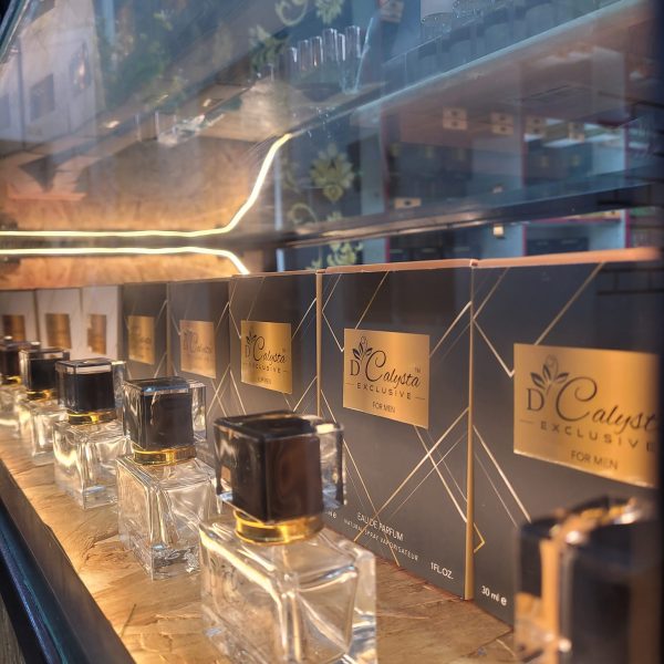 491249153_1332058478516450_5444604706500994515_n