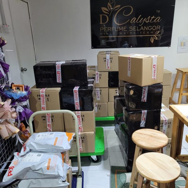 493469139_1343062190749412_5252798813373556301_n