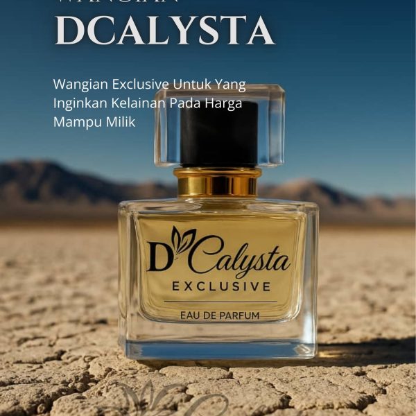 500242791_1367662658289365_8140995237683418982_n